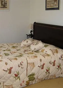 418 * Saint-Raphaël